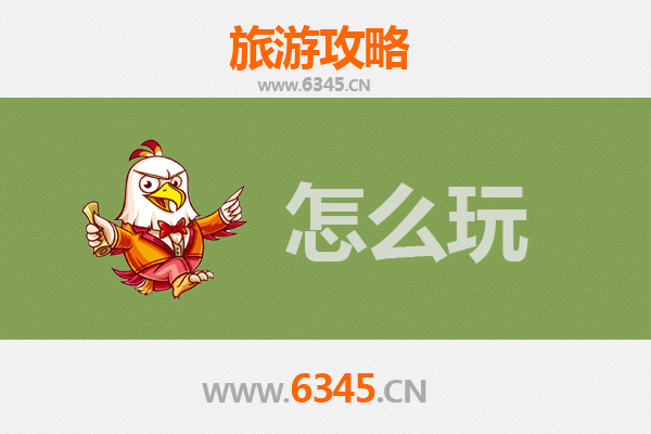 节假日自贡旅游全攻略：恐龙灯会、盐都文化与美食之旅