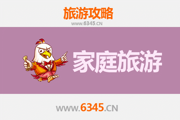 自贡家庭旅游全攻略：恐龙灯会与盐都文化亲子之旅